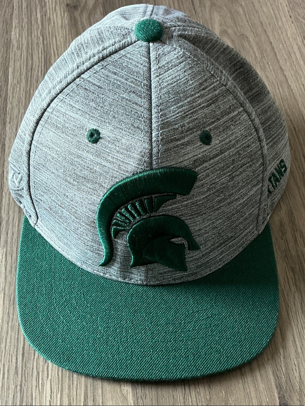 Michigan State Spartans SnapBack Hat